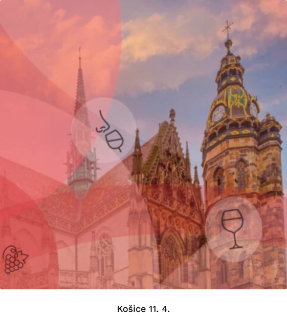 Kočice 11 04 banner 